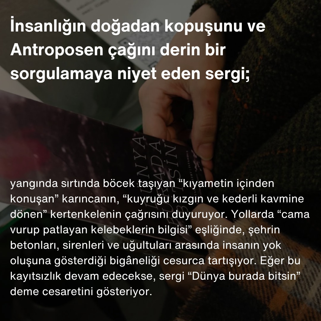 “Dünya Burada Bitsin” İstanbul’da: Kıbrıs Çağdaş Sanatının Eko-Poetik Sorgusu sergisinden görsel