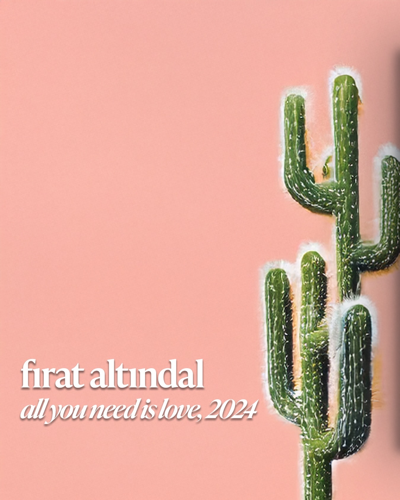 Fırat Altındal – “All You Need Is Love” sergisinden görsel