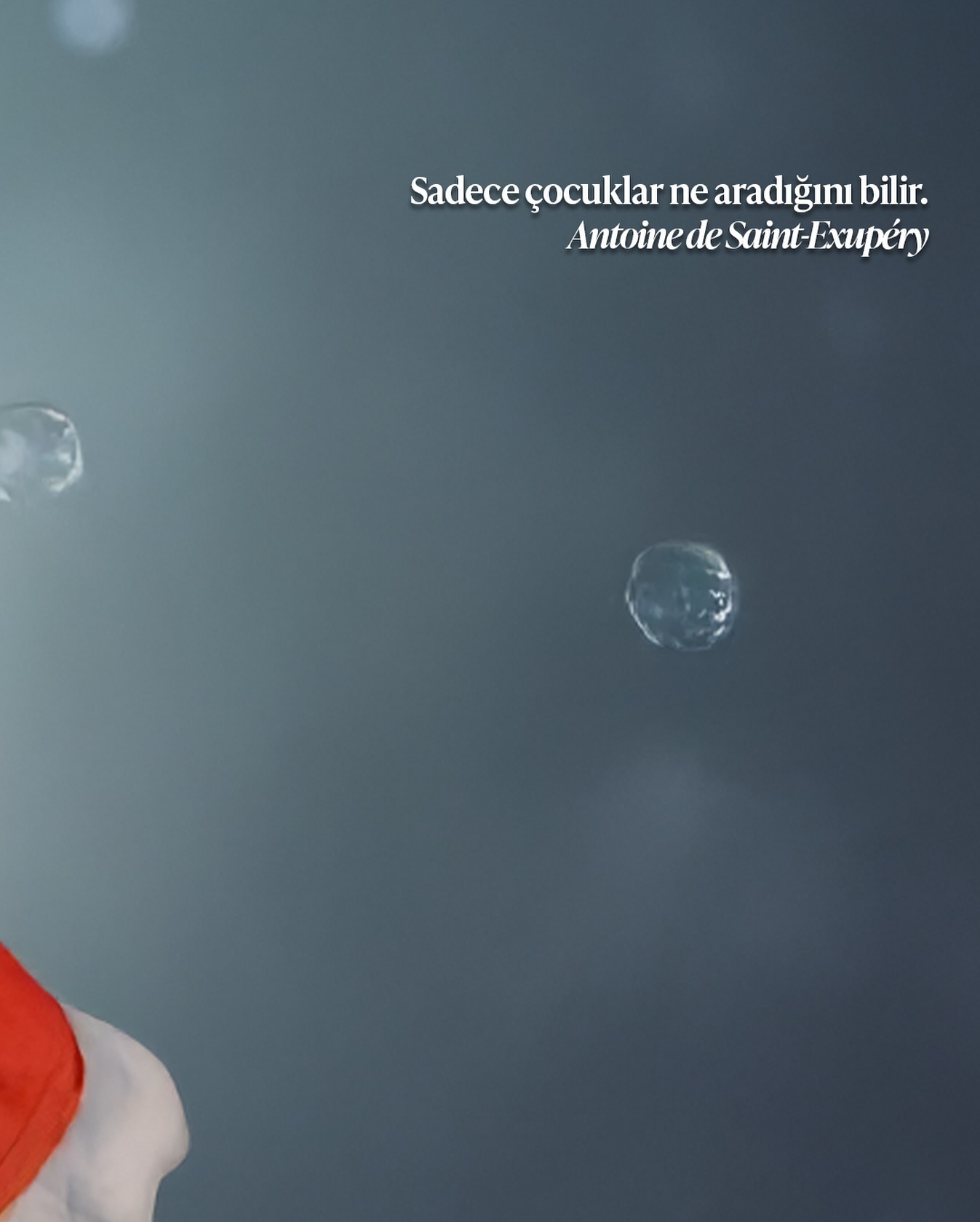 Evrim Kılıç – “Benimoooo” sergisinden görsel