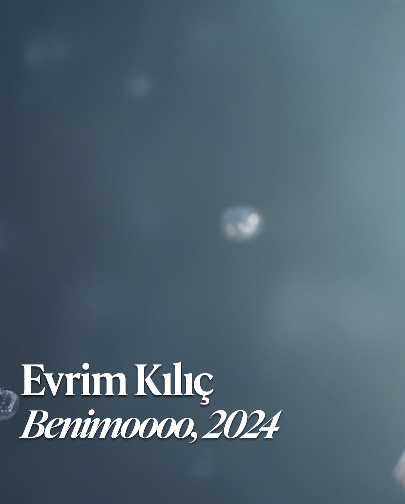 Evrim Kılıç – “Benimoooo” sergisinden görsel
