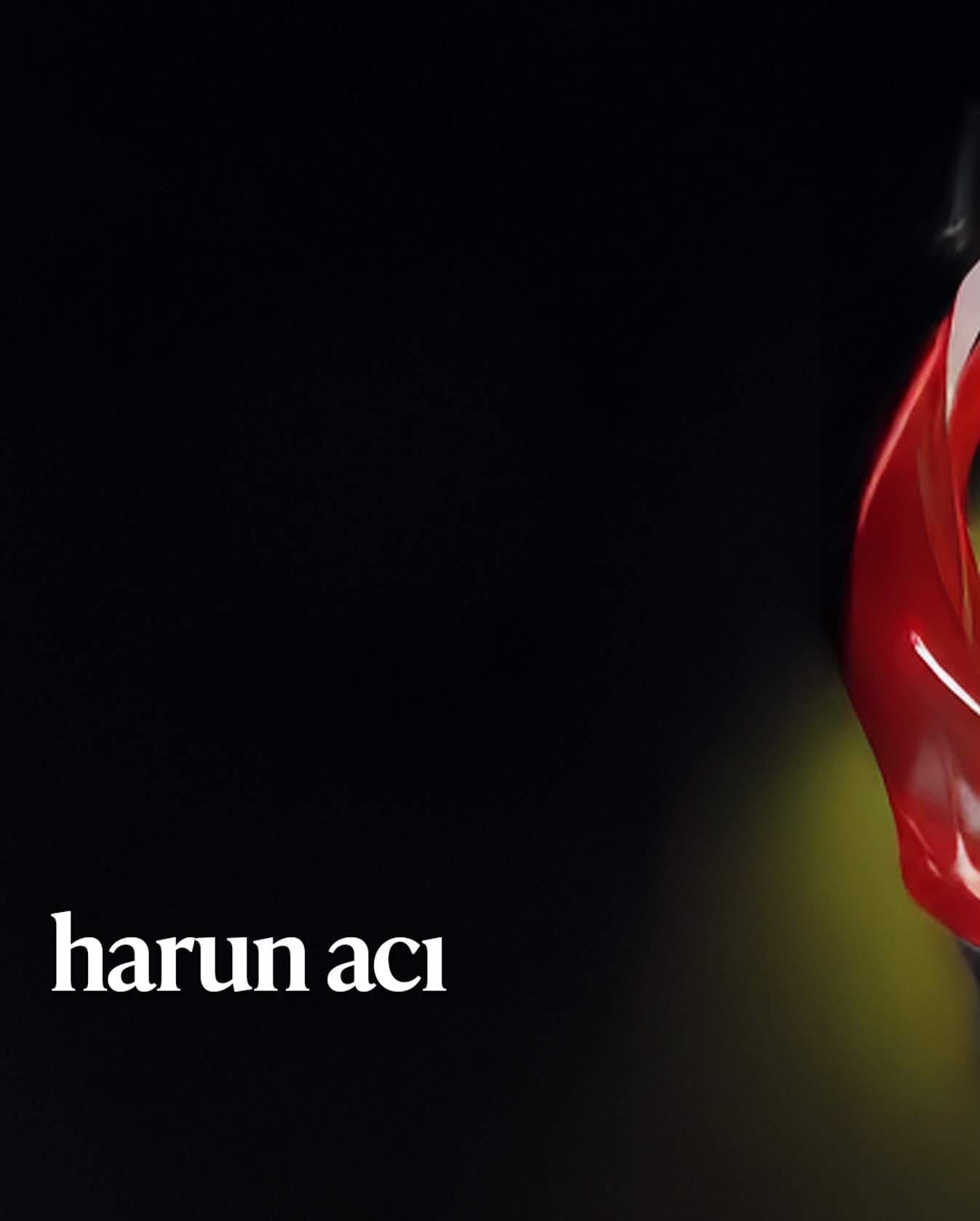 Harun Acı Bakmak & Görmek sergisinden görsel